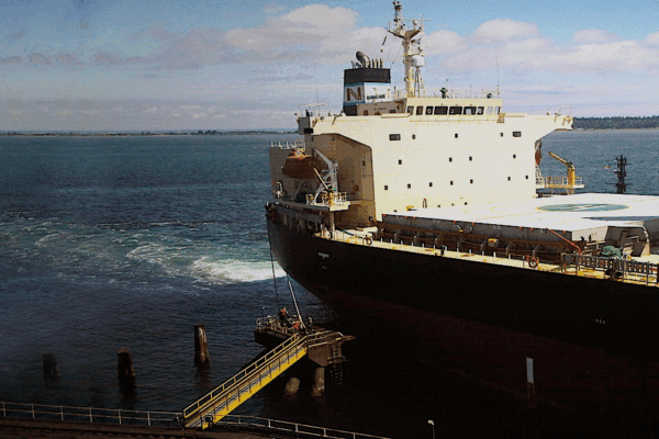 Ship fitted with industrial disc brake systems